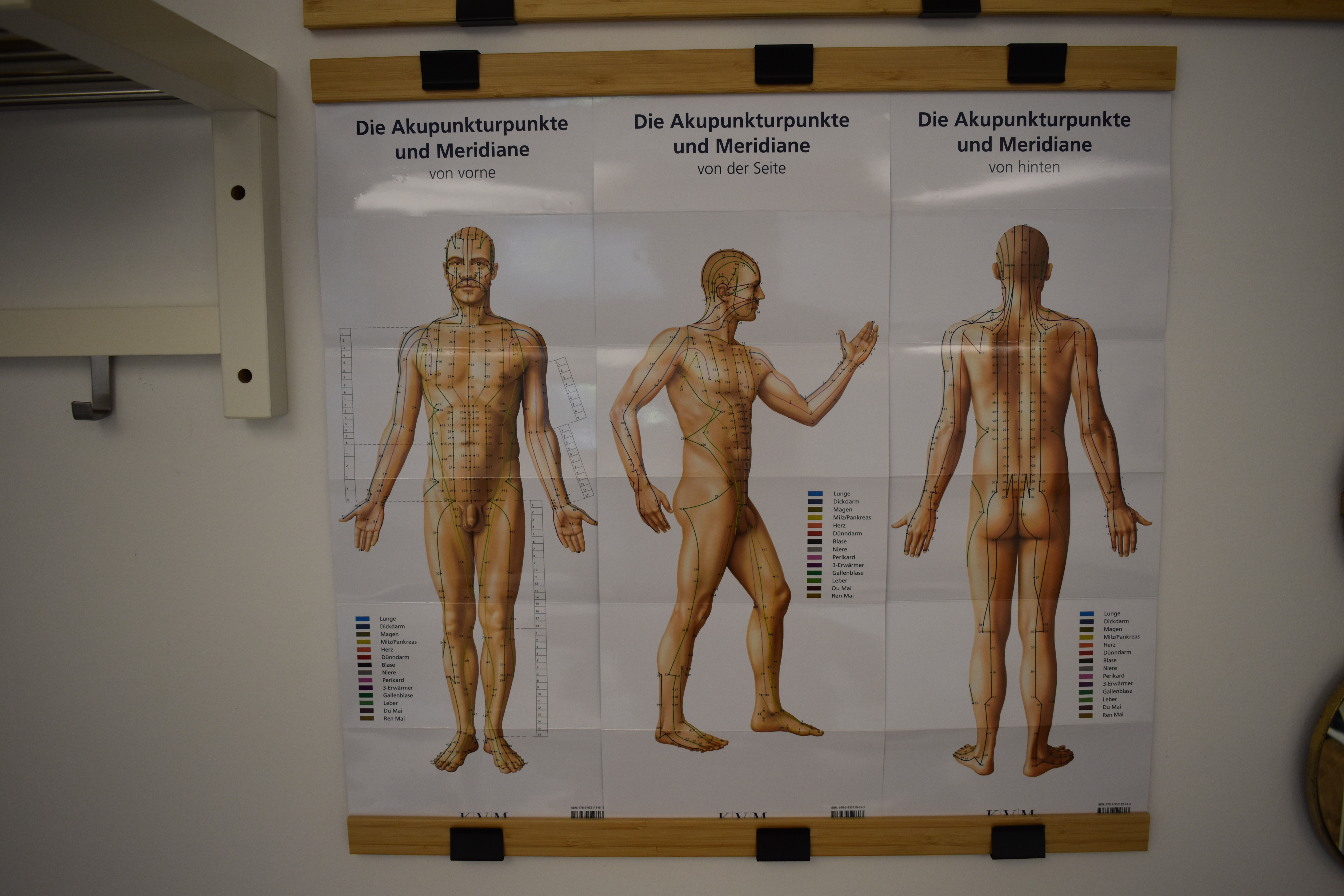 lernposter die akupunkturpunkte und meridiane